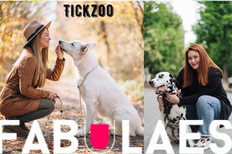 Tickzoo 101: How to Make the Most of This Exciting Online Community