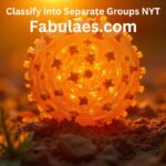 Classify into Separate Groups NYT