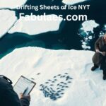 Drifting Sheets of Ice NYT